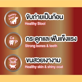 Bingostar Yummy Stick (500 กรัม) ขนมสุนัข ขนมหมา แบบแท่ง [เลือกรสได้] บำรุงขน เสริมกระดูก
