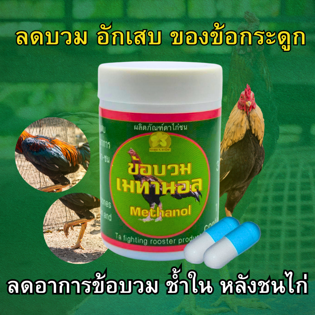 ดูแลไก่ที่มีปัญหาข้อบวม เอ็น กระดูก หลังชนไก่ เมทานอล ผลิตภัณฑ์ตาไก่ชน
