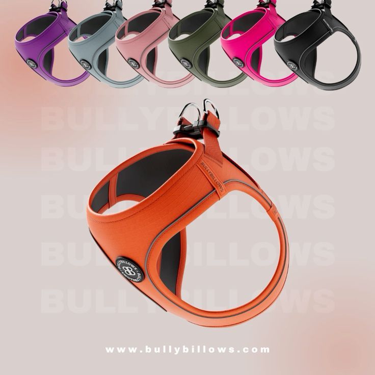 สายรัดอกสุนัข BullyBillows Step in Harness Series 2 | Lightweight suitable for XS-M Breeds