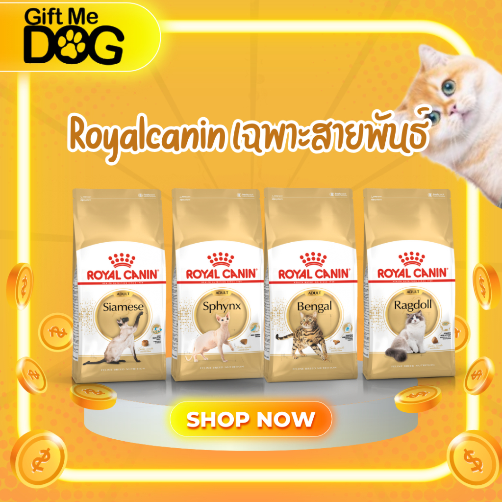 Royal canin โรยัลคานิน เม็ดแมวสูตรเฉพาะสายพันธ์Bengal,Ragdol,Sphynx,Siamese