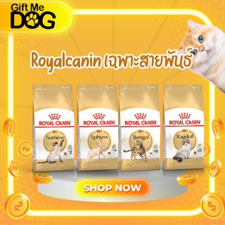Royal canin โรยัลคานิน เม็ดแมวสูตรเฉพาะสายพันธ์Bengal,Ragdol,Sphynx,Siamese
