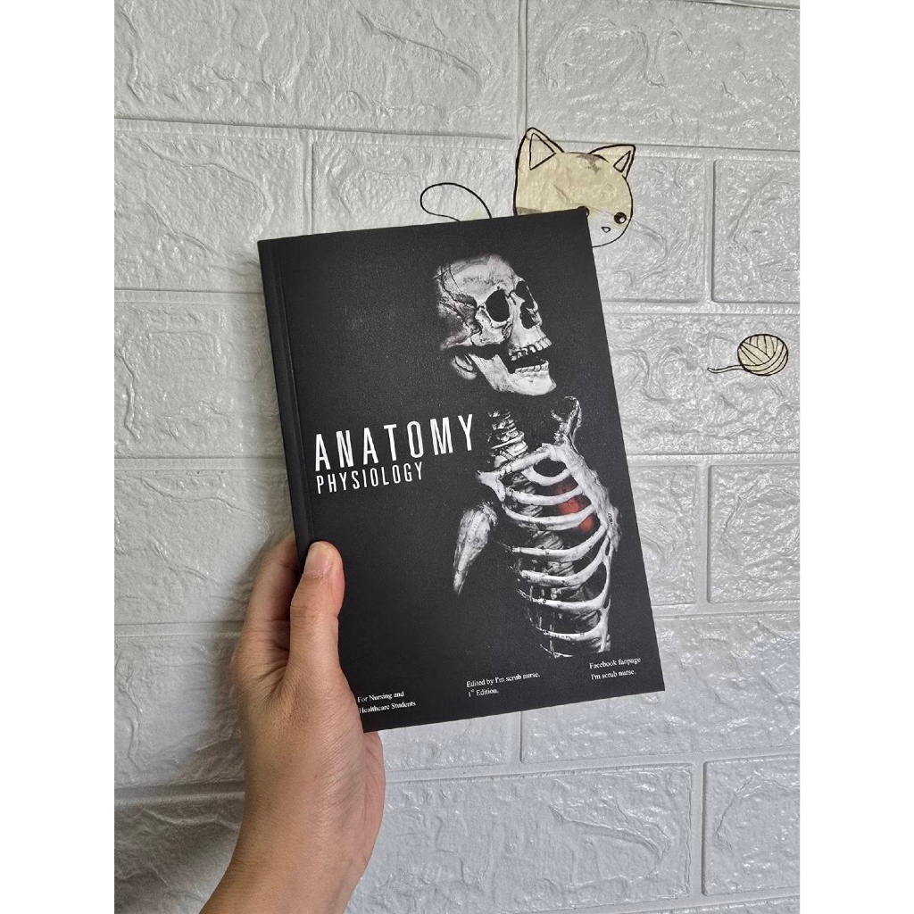 Anatomy สำหรับพยาบาล
