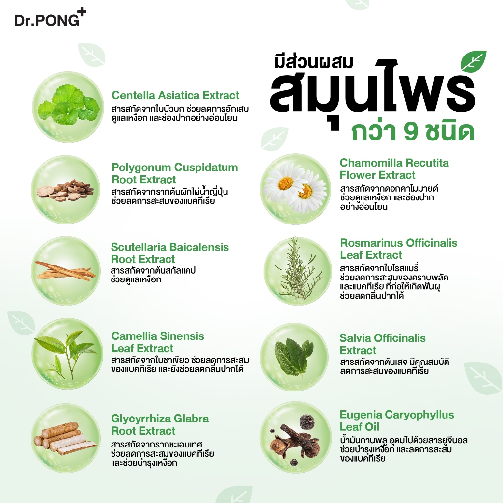 รูปภาพ 6