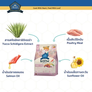 Buzz Beyond - อาหารแมว บัซซ์ บียอนด์ กลูเตนฟรี รสแซลมอน ทูน่า และ นม สำหรับแม่แมว และ ลูกแมว ทุกสายพันธุ์ 1 kg