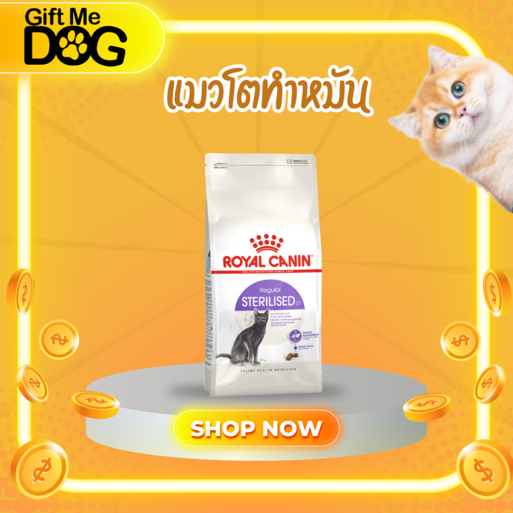 Royal Canin Sterilised 10kg โรยัลคานิน อาหารแมวโต ทำหมัน ทุกเพศ ถุงขนาด 10 กิโลกรัม