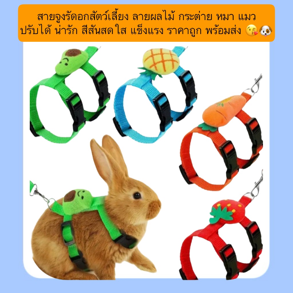 AL-1252 สายจูงรัดอกสัตว์เลี้ยง ลายผลไม้ กระต่าย หมา แมว ปรับได้ น่ารัก สีสันสดใส แข็งแรง ราคาถูก พร้อมส่ง 😘🐶