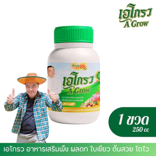 อาหารเสริมพืช ไคโตซานบริสุทธิ์ ผลดก ใบเขียว ต้นสวย โตไว ตรา เอโกรว A Grow