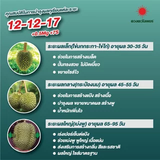 ปุ๋ยคอมปาวด์ 12-12-17 ขนาด 25 กก +แมกนีเซียม0.5% มีซัลเฟอร์7% +Biostimulant เร่งการดูดซึมของระบบราก