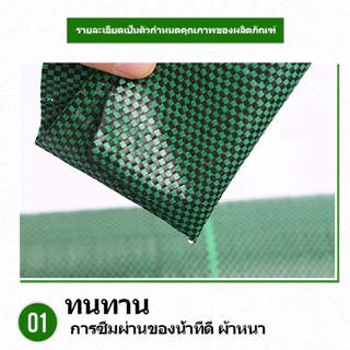 Daily Gold พลาสติกคลุมวัชพืช ผ้าคลุมหญ้า 2x50 1x100 2x10 3x10 กำจัดหญ้า พลาสติกคลุมดิน ผ้าคลุมดิน