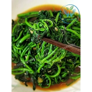 เมล็ดวอเตอร์เครส พันธุ์แท้ ผักน้ำเบตง 1,000 เมล็ด