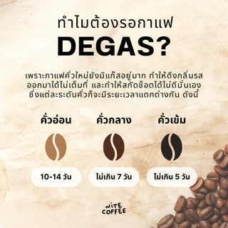 Nite Coffee Maemon Sets – เมล็ดกาแฟคั่ว จากดอยแม่มอญ จ.เชียงราย ชุดเซ็ต 3 ตัว