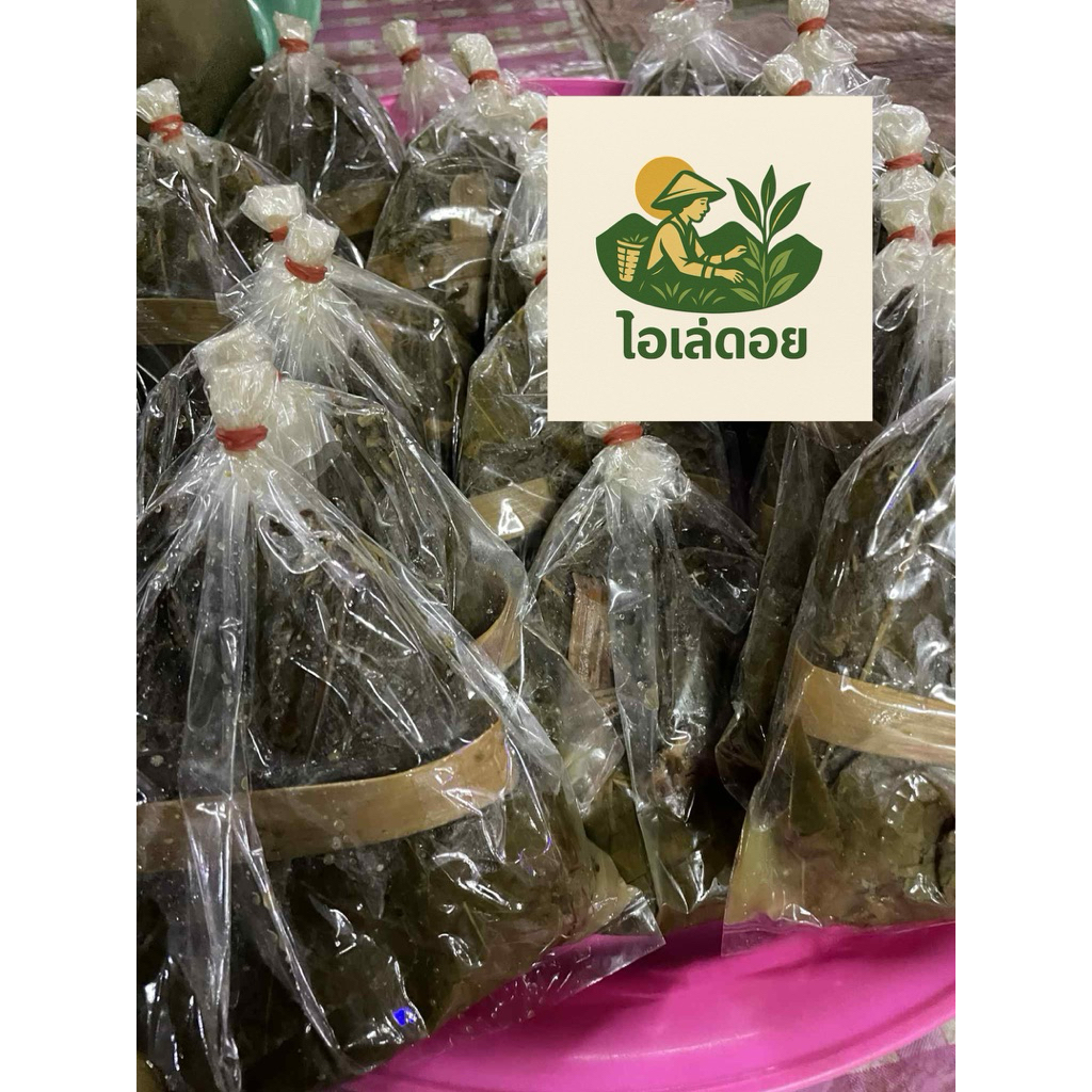 เมี่ยงส้มฝาด (ชาอัสสัม)เป็นมัดหรือกำต้นตำหรับล้านนาดอยแม่ลัว จังหวัดแพร่ไม่ผ่านแม่ค้าคนกลางขายโดยตรงจากชาวสวนปลอดสารเคมี