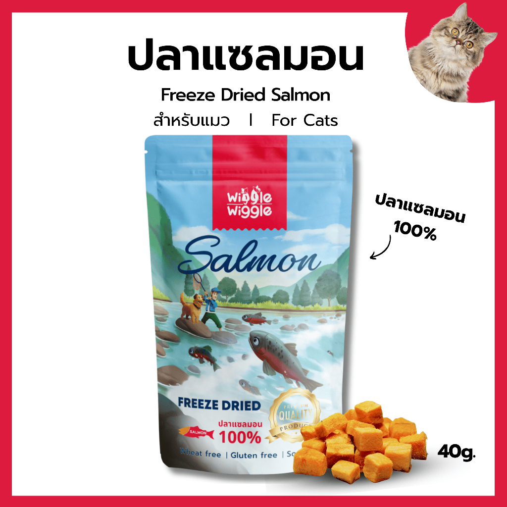 Wiggle Wiggle แซลมอนฟรีซดรายแมว Freeze Dried Cat ขนมแมว รสปลาแซลมอน