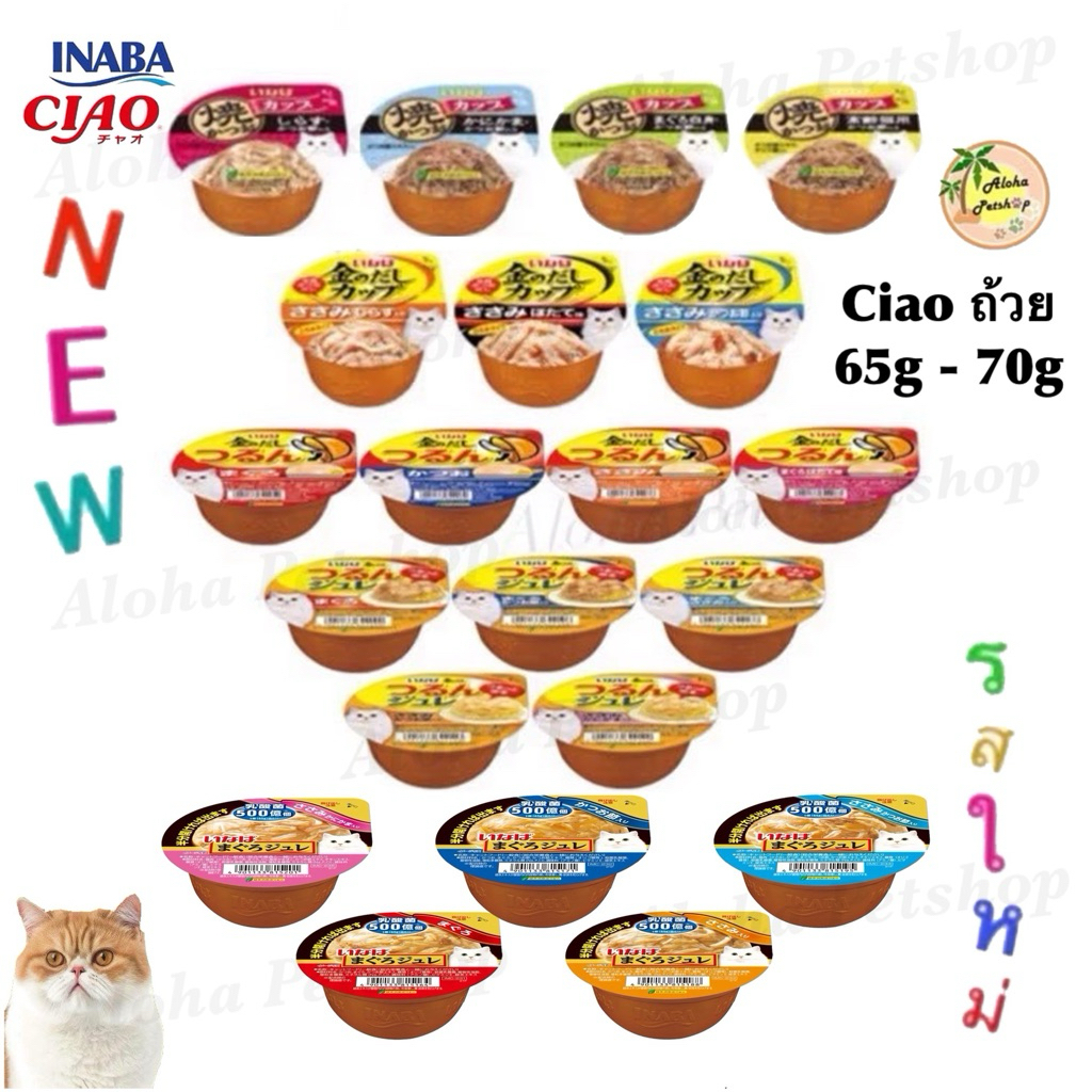ครบรส แบบถ้วย🐱INABA Ciao แบบถ้วย อร่อยครบรส! 65g-70g