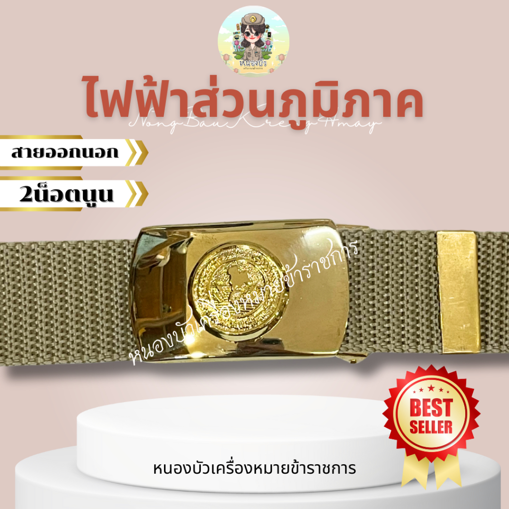 เข็มขัดไฟฟ้า เข็มขัดไฟฟ้าส่วนภูมิภาค รูปที่ 4
