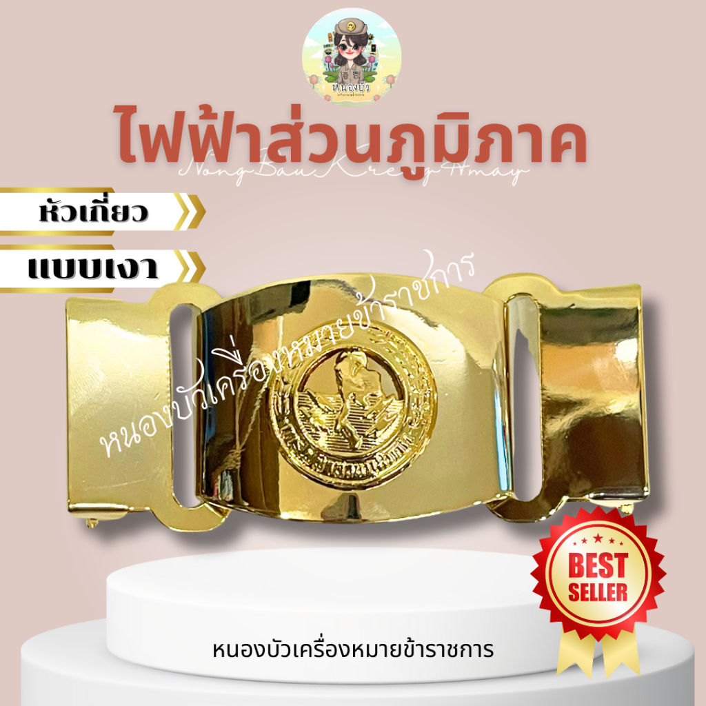 เข็มขัดไฟฟ้า เข็มขัดไฟฟ้าส่วนภูมิภาค รูปที่ 8