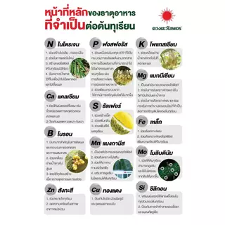 ไฮโดรเมทจุลธาตุรวม MixEDTA ดวงตะวันเพชร ธาตุอาหารเสริม-รองชนิดคีเลต ละงายน้ำง่าย จุลธาตุรวมผง 50กรัม