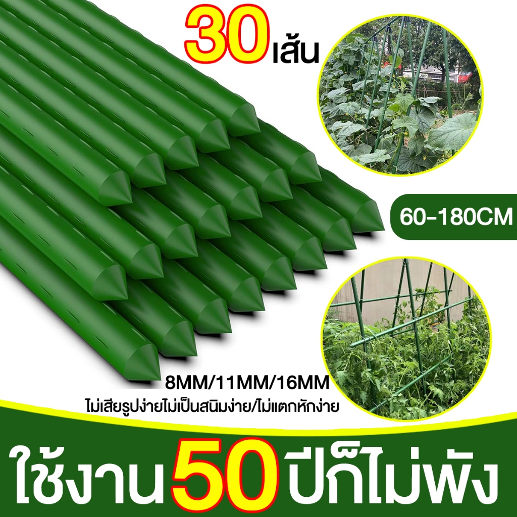 [ชุด 30 ชิ้น] ไม้ค้ำยันต้นไม้ ยาว 60-180ซม หนา 8-16มม.ไม้เสาไม้เลื้อย ไม้ค้ําต้นไม้ ค้างต้นไม้ ซุ้มต้นไม้ ท่อเหล็กPE