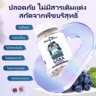 Wellcatcher Gaba Sleep Gummies Non-GMO Gluten-Free ช่วยผ่อนคลาย นอนหลับดีขึ้น 60 เม็ด