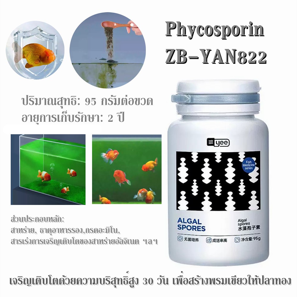 Phycosporin สาหร่ายมอสเขียวอายุยืนอาหารจัดสวนตู้ปลา ลดปัญหาน้ำเขียวทำให้ปลาสีสันสดใสขึ้น สำหรับปลาทองและปลารันชู