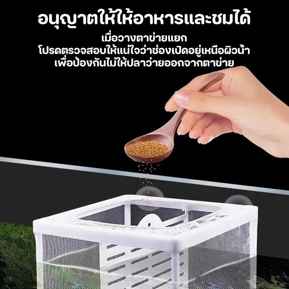 Winky Wink ตาข่ายแยกปลา กล่องแยกเลี้ยงปลา ฟักไข่ปลา thumbnail 4