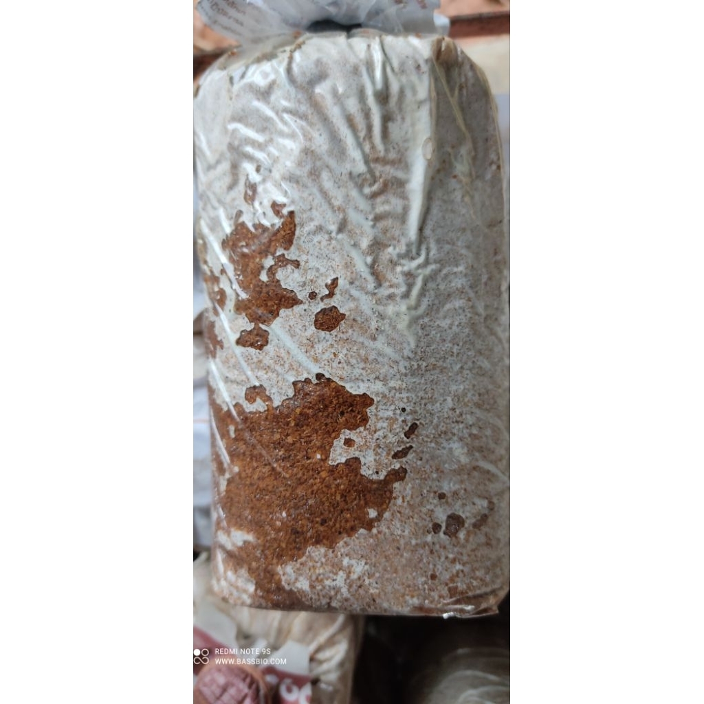 เห็ดคาวาระ!​ kawara mushroom​  **เส้นใยเดินไม่สม่ำเสมอ​** ราคาพิเศษ​