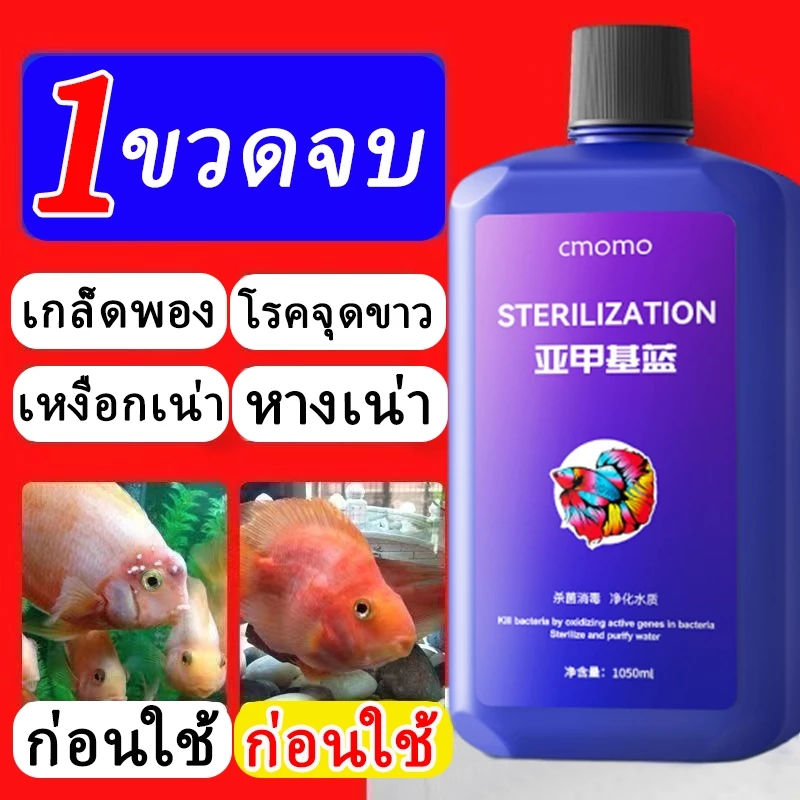 นักฆ่าโรคปลา เมทิลีนบลู 1050ML Methylene Blue กำจัดเชื้อราและแบคทีเรีย โดยเฉพาะเชื้อที่ทำให้ปลาติดเชื้อ เมทิลีน บลู
