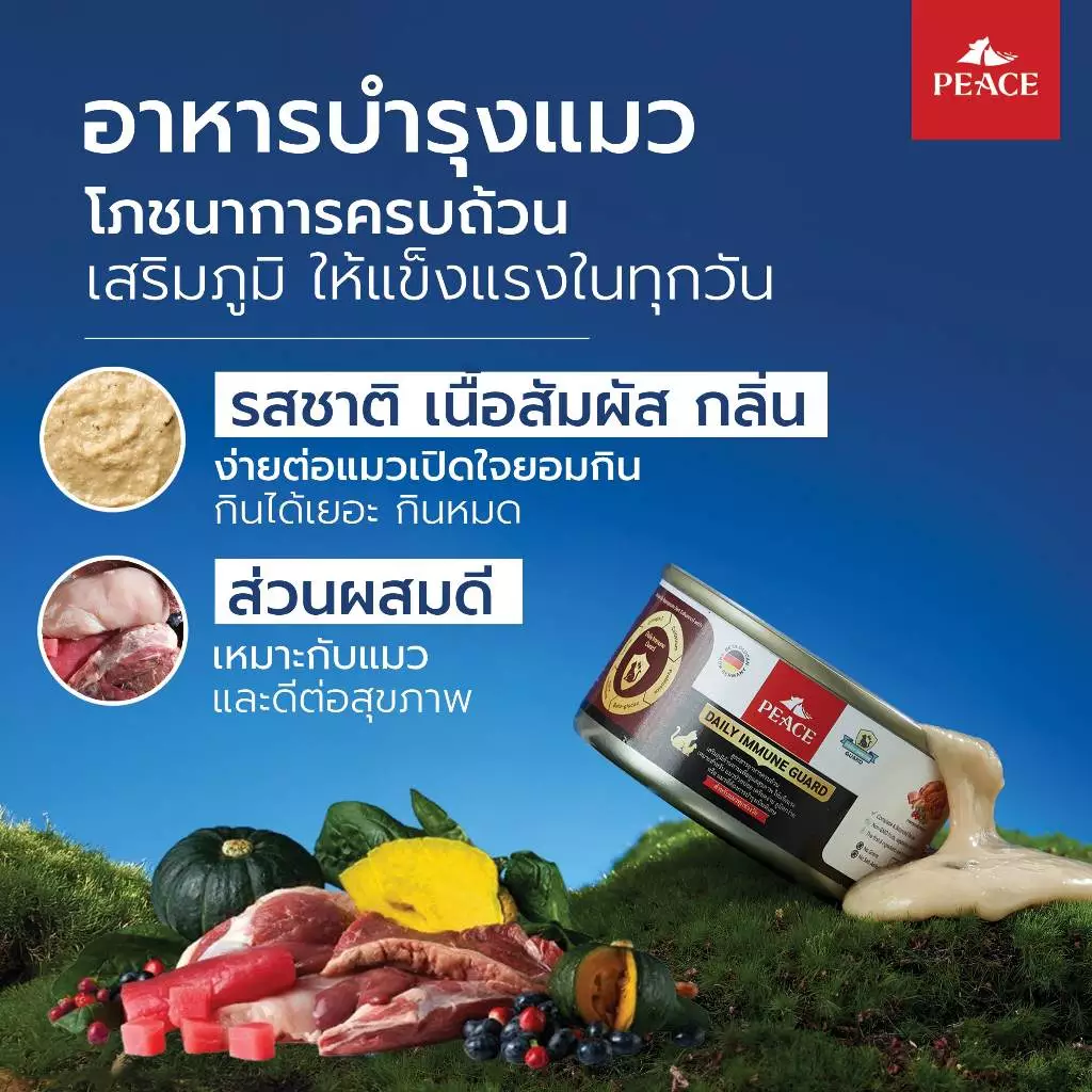 IG Peace Chicken Souffle 1 กระป๋อง - รูปที่ 1