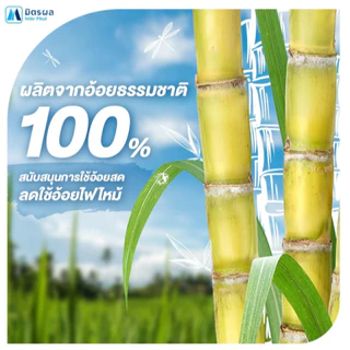 มิตรผล น้ำตาลทรายขาว 1กก. ยกกระสอบสุดคุ้ม 25ถุง 25กก.
