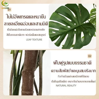 GAIDING【อัตราการซื้อคืน 99.9%ต้นไม้ปลอม-ประดิษฐ์ ต้นไม้ปลอมใหญ่ สูง120/150/180ซม ไม่มีกลิ่นแปลกๆ ไม่จำเป็นต้องบำรุงรักษา