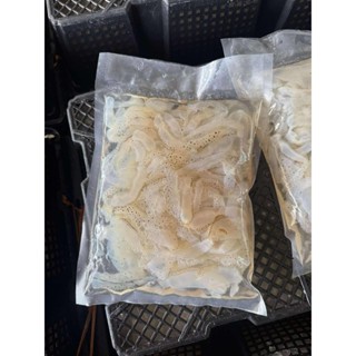 แมงกะพรุนเวียดนาม แบบเส้น