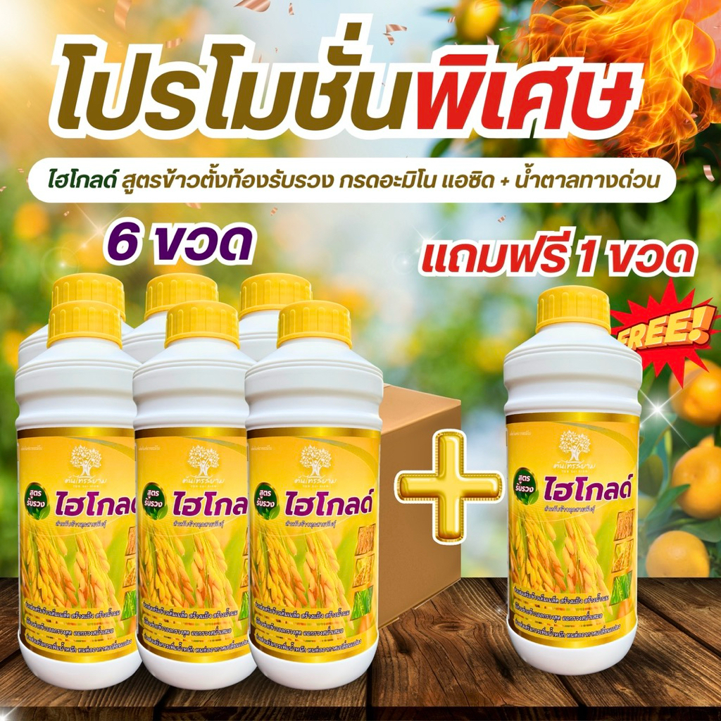ชุดพิเศษโปร 6 เเถม 1 ไฮโกลด์ สูตรข้าวตั้งท้องรับรวงสารสกัดเข้มข้น ขนาด 1 ลิตร ข้าวเมล็ดใหญ่ น้ำหนักดี สีสวย รวงใหญ่ยาว