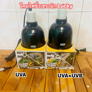 ชุดกกไฟ UVA และ UVB พร้อมใช้งาน