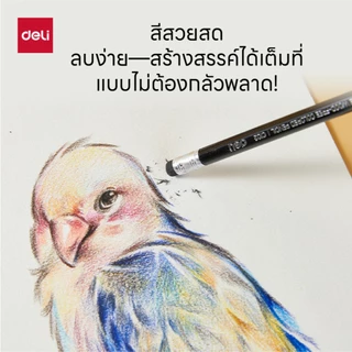 Deli ดินสอสีไม้ มียางลบ ระบายลื่น สีสด คมชัด ชุด 12/18/24/36 สี Color Pencils จำหน่าย 1 ชุด