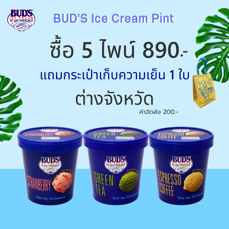 Set 5 ไพน์ ต่างจังหวัด เพียง 1,090 บาท แถมกระเป๋าเก็บความเย็น 1 ใบ