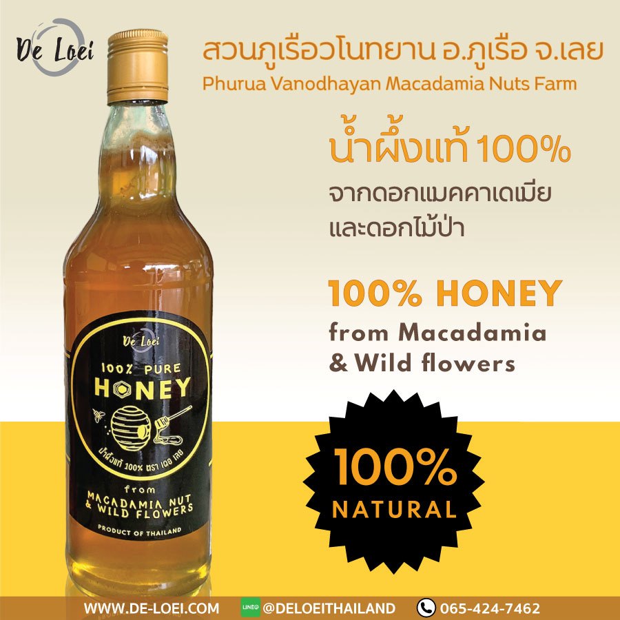 น้ำผึ้งแท้ 100% ดอกแมคคาเดเมีย 980g Pure Honey