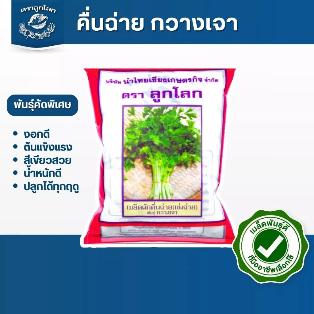 ตราลูกโลก เมล็ดคื่นฉ่าย กวางเจา Celery เมล็ดพันธุ์ผัก ผักสวนครัว ผักซอง ลูกโลก