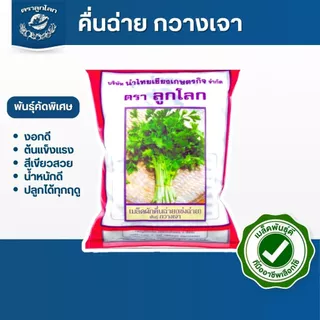 ตราลูกโลก เมล็ดคื่นฉ่าย กวางเจา Celery เมล็ดพันธุ์ผัก ผักสวนครัว ผักซอง ลูกโลก