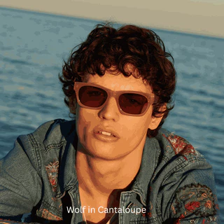 Sunnies Studios Wolf (แว่นกันแดดแฟชั่นทรงสี่เหลี่ยม สำหรับยูนิเซ็กส์)