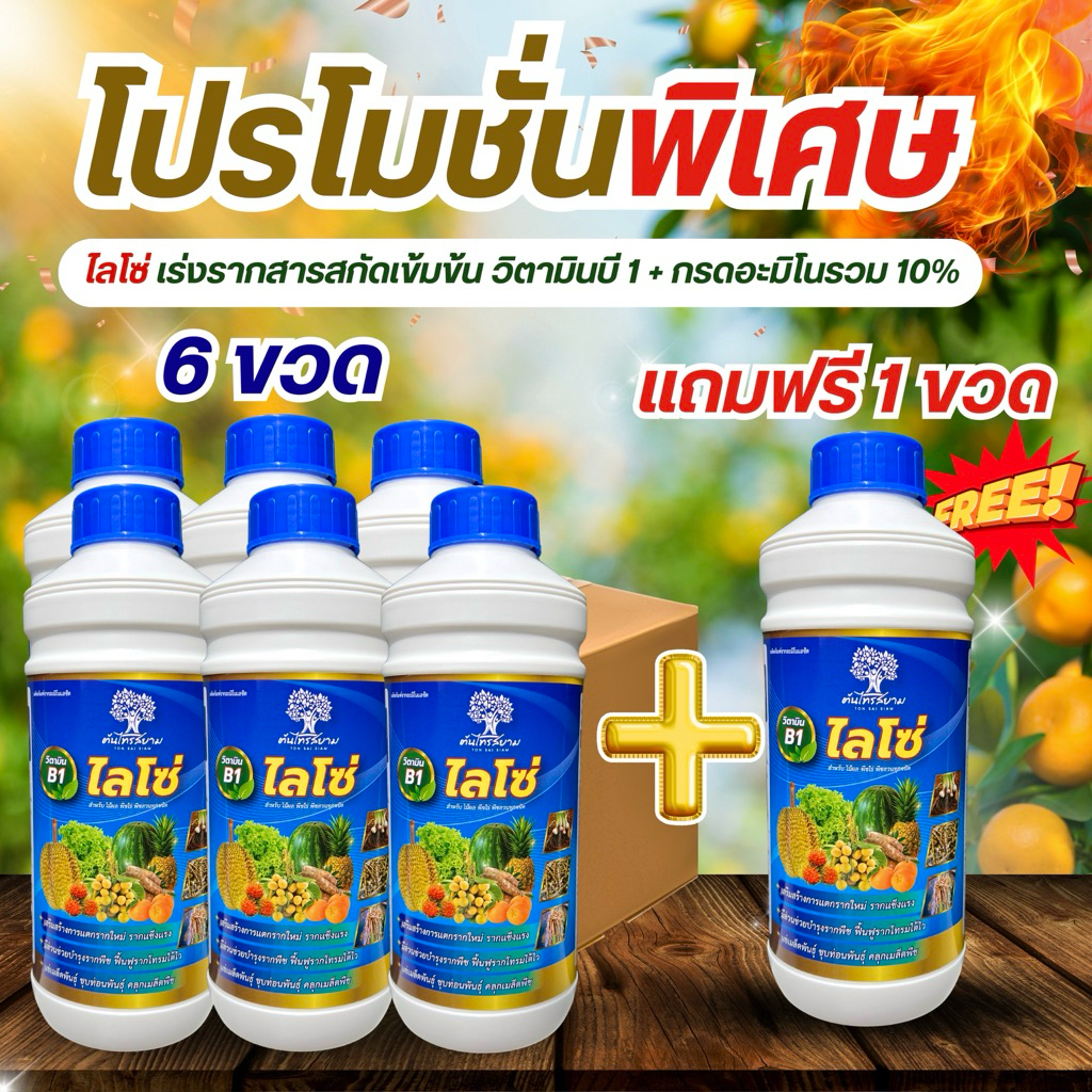 ชุดพิเศษโปร 6 เเถม 1 ไลโซ่ ยาเร่งรากวิตามินบี1+กรดอะมิโน 10% แตกรากเยอะ รากเเข็งเเรง เเช่ท่อนพันธุ์ ขนาด 1 ลิตร