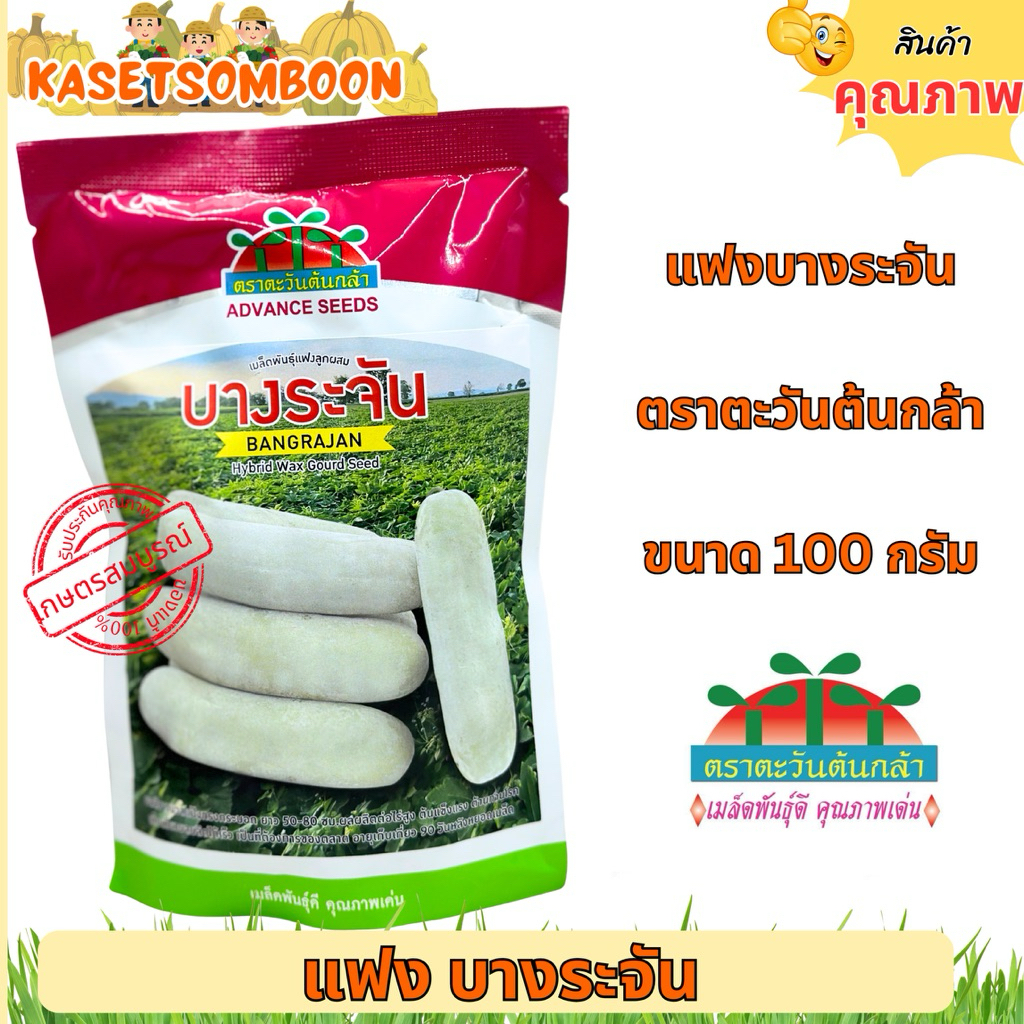 แฟงบางระจัน เมล็ดฟักแฟงงาช้าง 100 ก. ตรา ตะวันต้นกล้า  งอกดี เป็นที่ต้องการของตลาดขายส่ง
