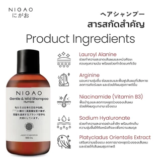นิกาโอะ เจลอาบน้ำ / แชมพู สูตรอ่อนโยน บำรุงผม ผมแห้งเสีย ขาดหลุดร่วง ลดการเกิดรังแค NIGAO Shampoo & Shower Gel
