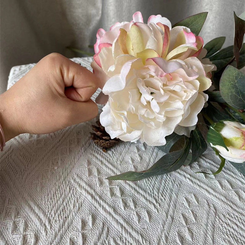 (จัดส่งภายใน 24 ชม)