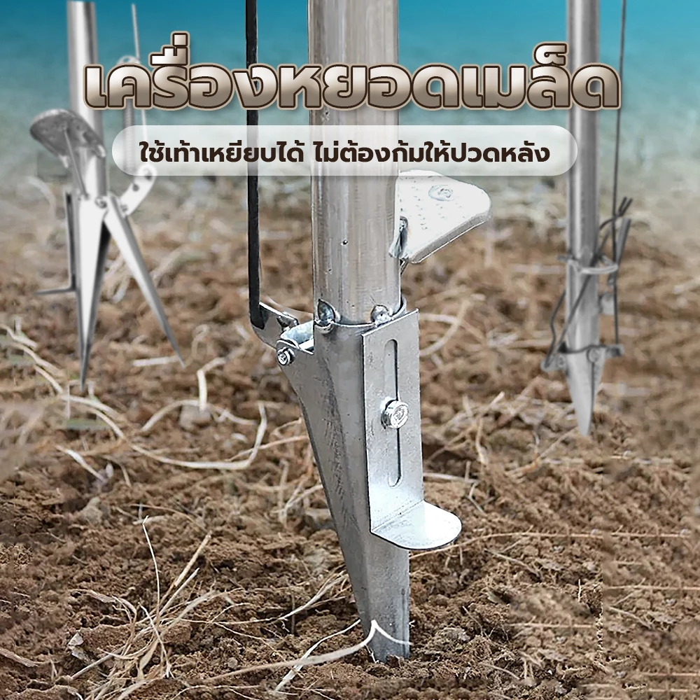 Poodoo เครื่องหยอดเมล็ดพันธุ์ อุปกรณ์การเกษตร thumbnail 3
