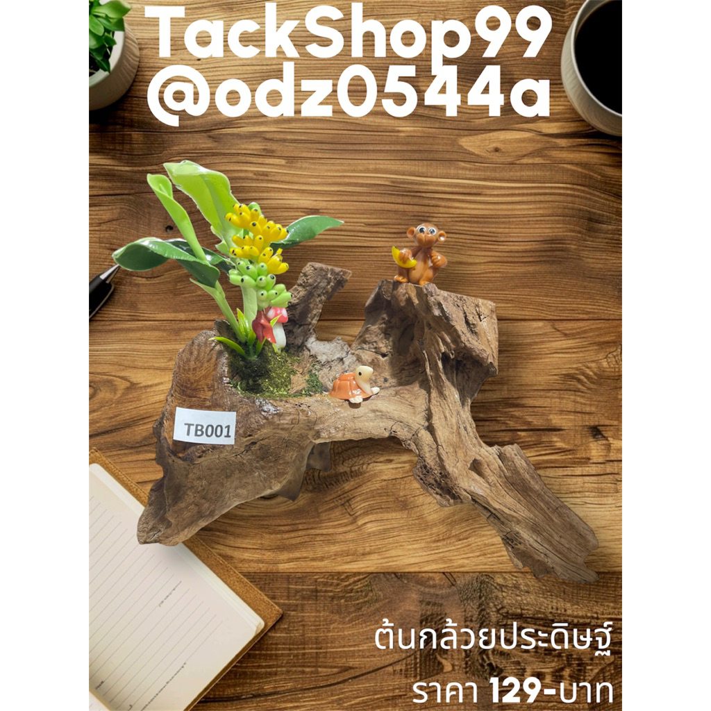 ต้นกล้วยประดิษฐ์  ปั้นจากดินไทย ไม้มงคลตกแต่งบ้าน✅