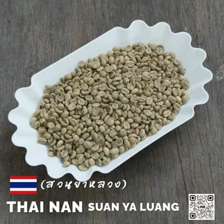 สารกาแฟไทยสวนยาหลวง จ.น่าน,Nan Suan Ya Luang -100% บรรจุ 5 - 20kg. RK.Coffeebean