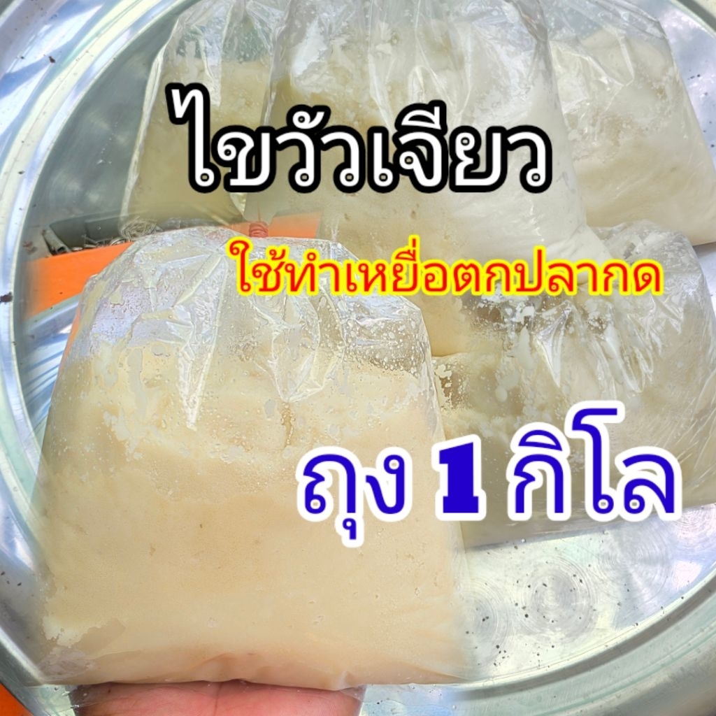 ไขวัวเจียวถุง1โล ใช่ทำเหยื่อตกปลากด