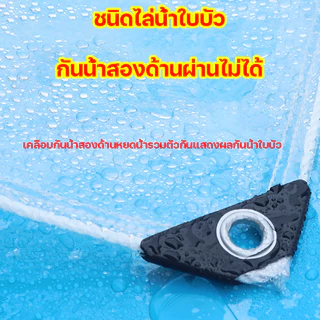 ARIDOO ผ้าใบกันฝนพลาสติกใส ไซโก้ เยอรมัน 99 ปีไม่เสีย แบบหนา ไม่กลัวลมฝน ผ้าใบกันแดดกันฝน