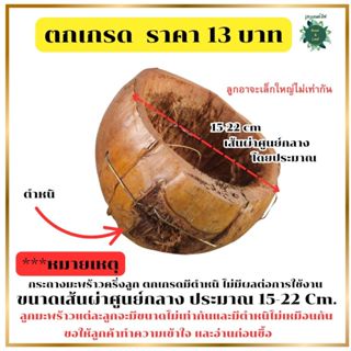 กระถางมะพร้าว ครึ่งลูก มีตำหนิ ตกเกรด ราคาถูก กระถางมะพร้าวแ…