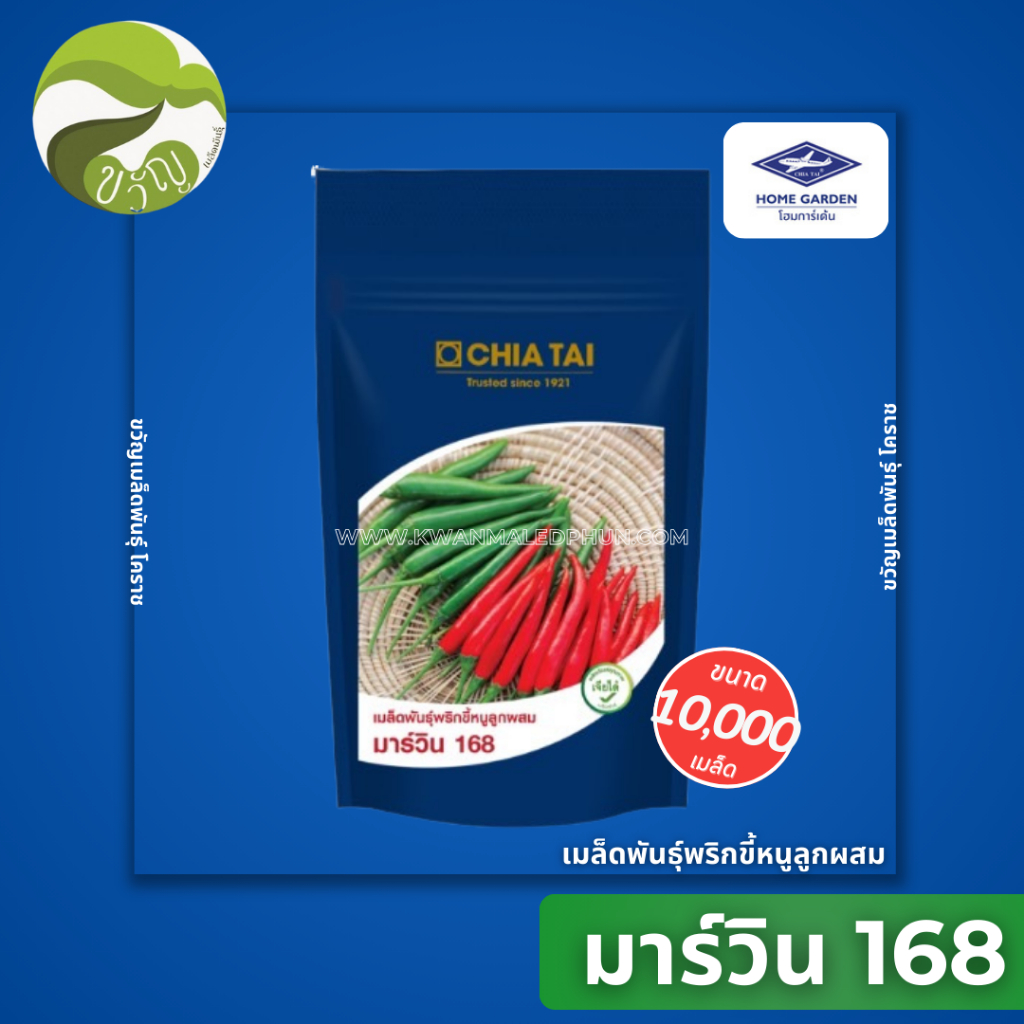 เมล็ดพันธุ์พริกขี้หนูลูกผสม ตราเจียไต๋ พริกขี้หนู (มาร์วิน 168) ขนาด 10,000 เมล็ด สินค้าใหม่ล่าสุด